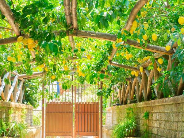 Cilento and Amalfi cycling holiday, Italy