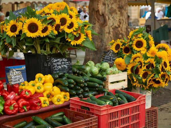 Provence luxury cycling holiday, France