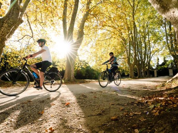 Provence luxury cycling holiday, France