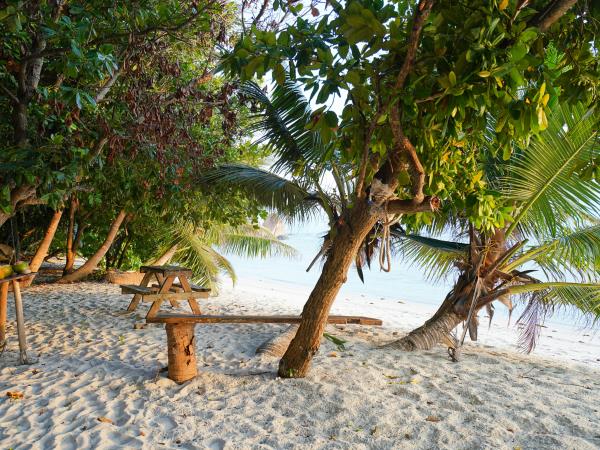 Praslin and Denis Island holiday in the Seychelles