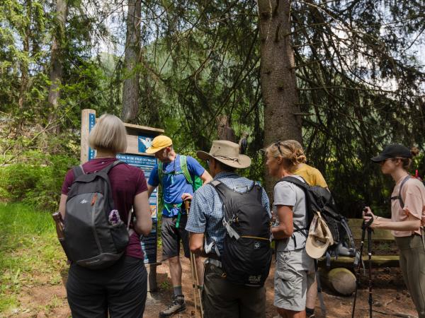 Austrian hiking and yoga vacation