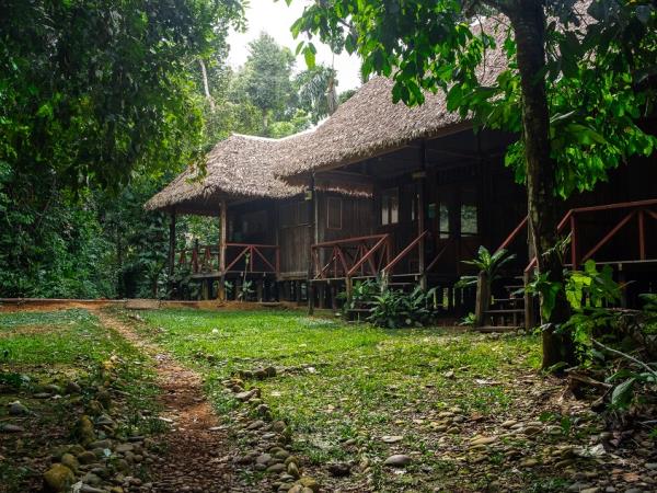 Madidi wildlife tour at Chalalan ecolodge, Bolivia
