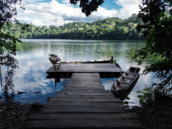 Madidi wildlife tour at Chalalan ecolodge, Bolivia