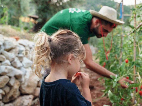 Lefkada, Ithaca & Kefalonia family vacation