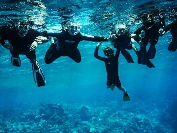 Budget Tonga vacation, swim with humpback whales