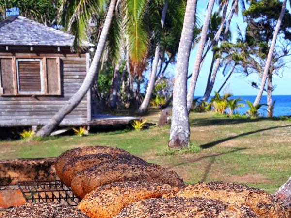 Budget Tonga vacation, swim with humpback whales