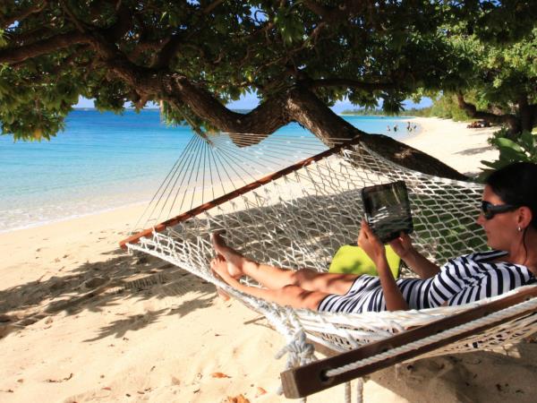Budget Tonga vacation, swim with humpback whales