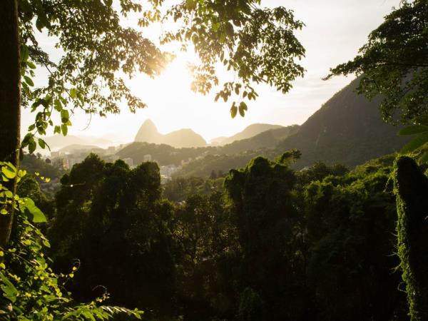 Best of Brazil tailor made vacation