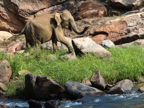 Sri Lanka luxury holiday, digital detox