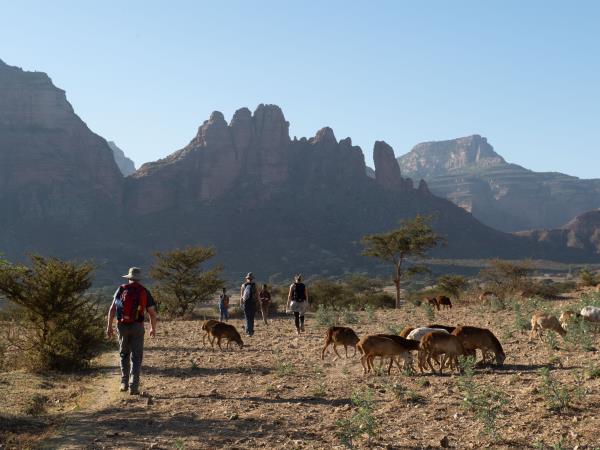 Ethiopia Timkat festival tour
