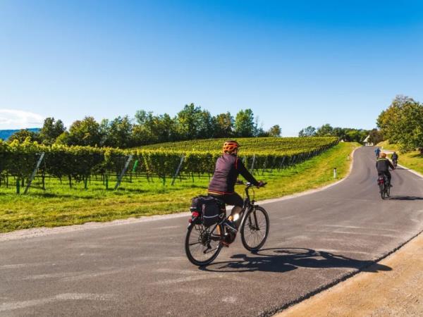 Slovenia cycling tour