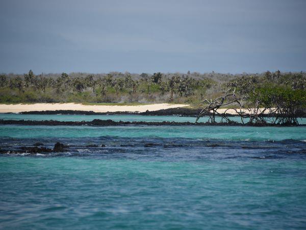Galapagos Islands swimming vacation