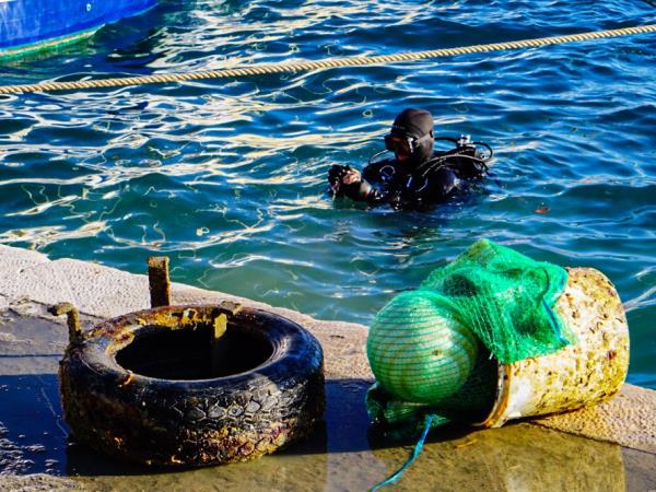 Marine conservation diving vacation, Croatia
