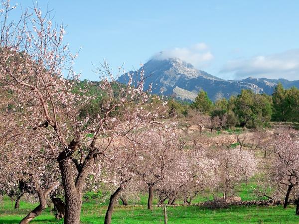 Mallorca cycling tour, Spain