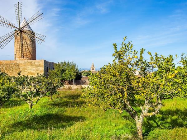 Mallorca cycling tour, Spain