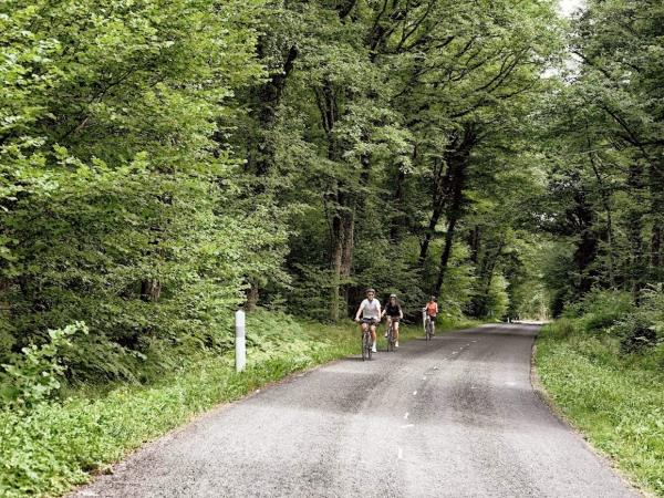Champagne cycling short break, France