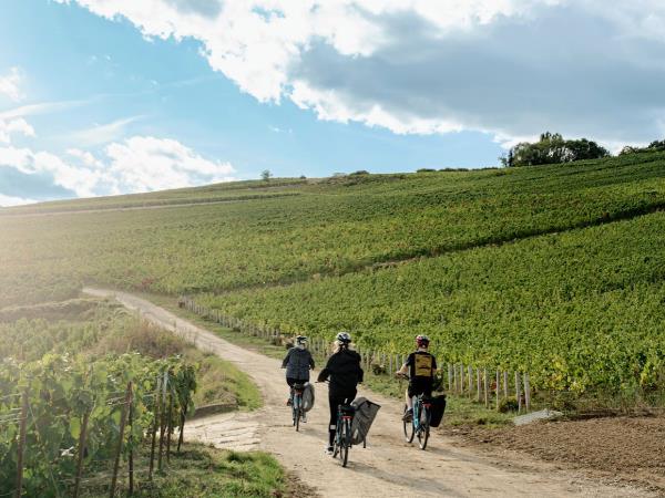 Champagne cycling short break, France
