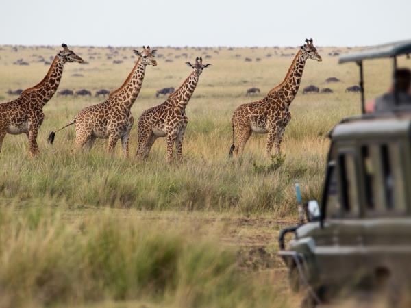 Tanzania photography safari tour 