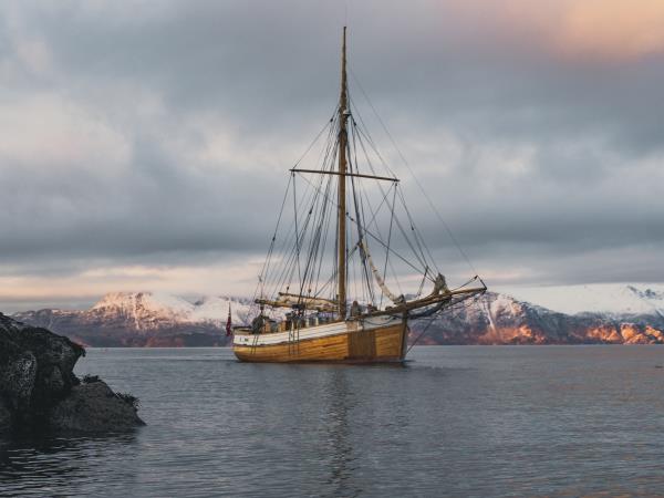 Whale and bird watching vacation, Norway