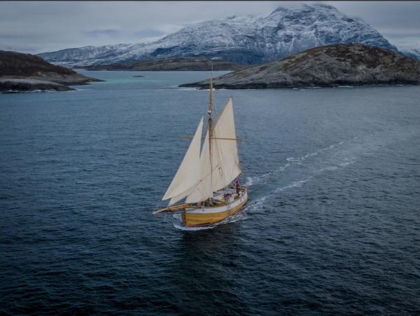 Whale and bird watching vacation, Norway