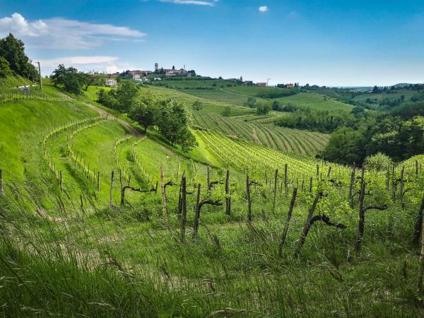 Slovenia easy walking vacation, self guided