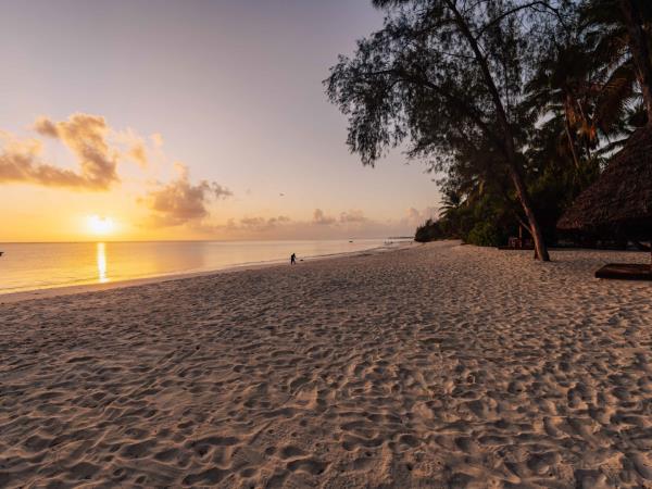 Safari and Zanzibar beach vacation, Tanzania