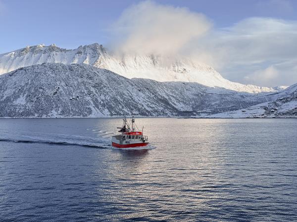 Senja Island photography vacation in Norway