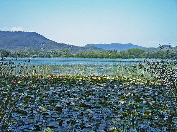 Art therapy retreat in Spain