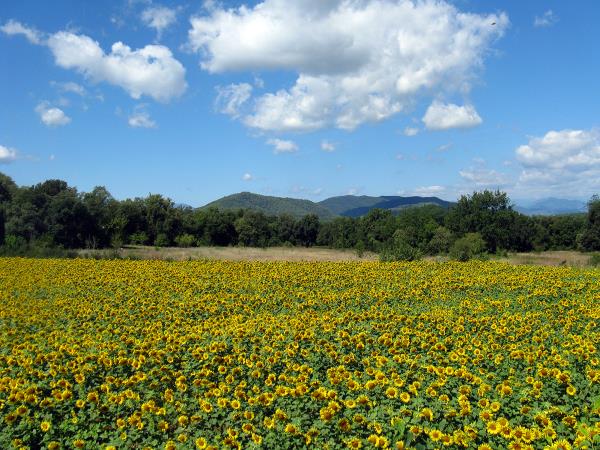 Art vacation in Girona, Spain