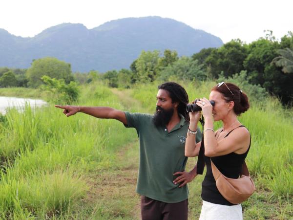 Luxury Sri Lanka birding tour