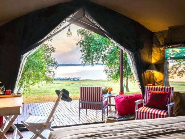 Luxury Sri Lanka birding tour