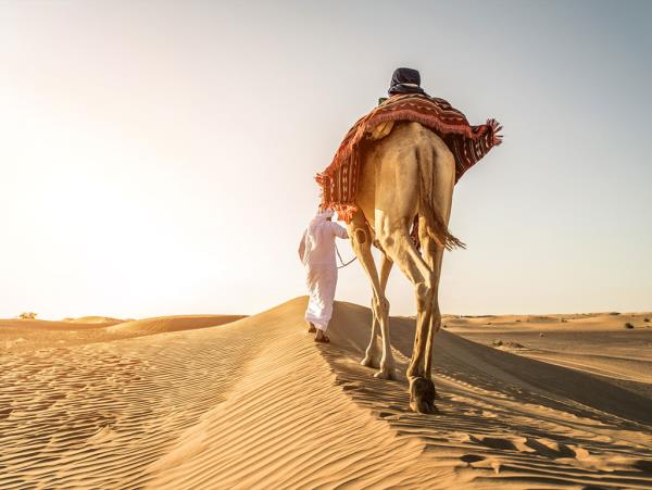 Saudi Arabia culture & history vacation
