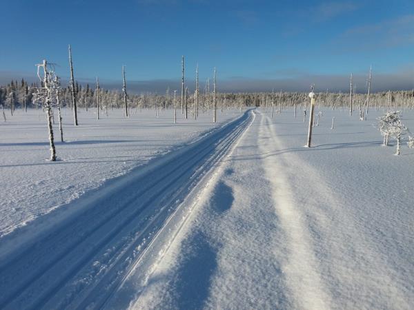 Cross-country skiing vacation in Finland's eastern wilderness