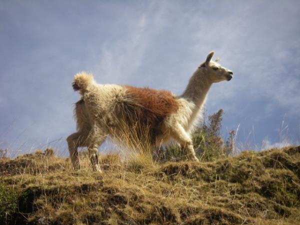 Peru slow travel vacation, beyond Macchu Pichu