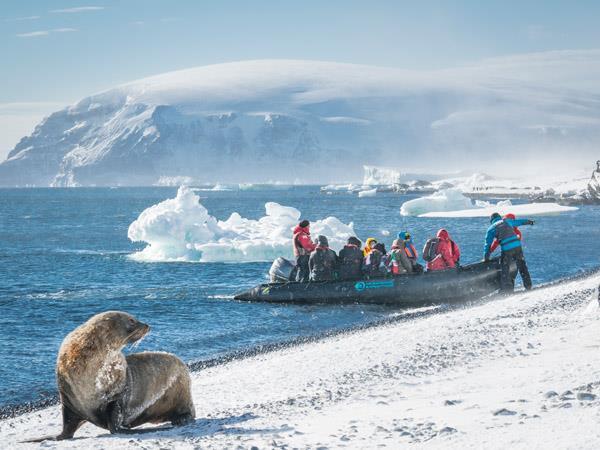 Falklands, South Georgia and Antarctica cruise