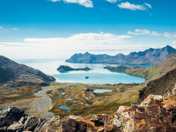 Falklands, South Georgia and Antarctica cruise