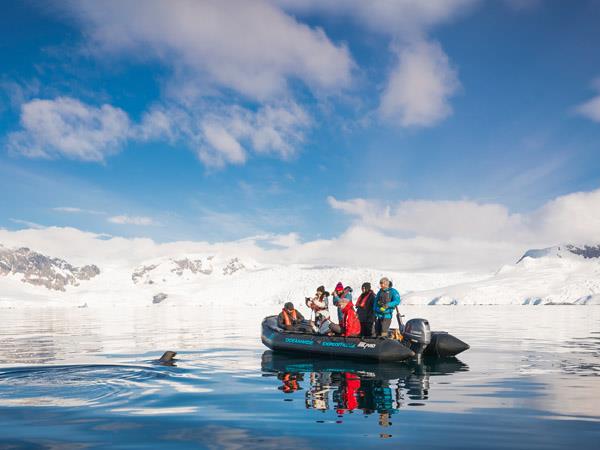 Falklands, South Georgia and Antarctica cruise