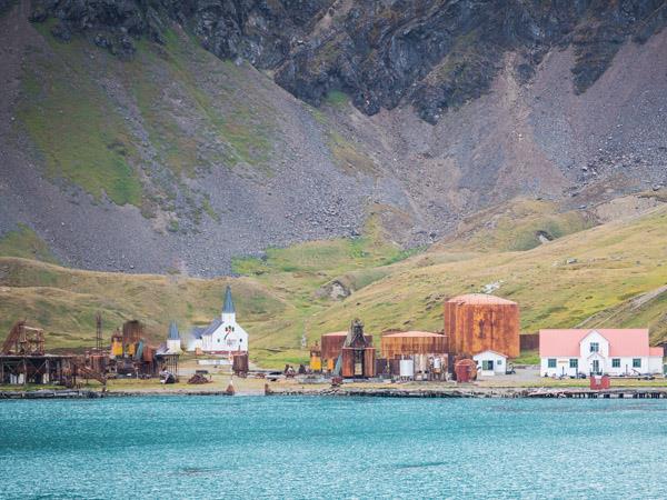 Falklands, South Georgia and Antarctica cruise
