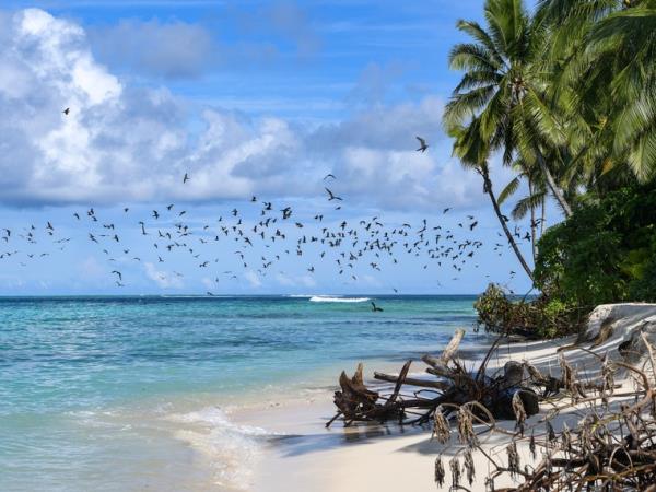 Luxury South Pacific Cruise, Papua new Guinea & beyond
