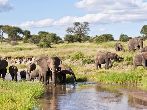 Great migration small group safari, Tanzania