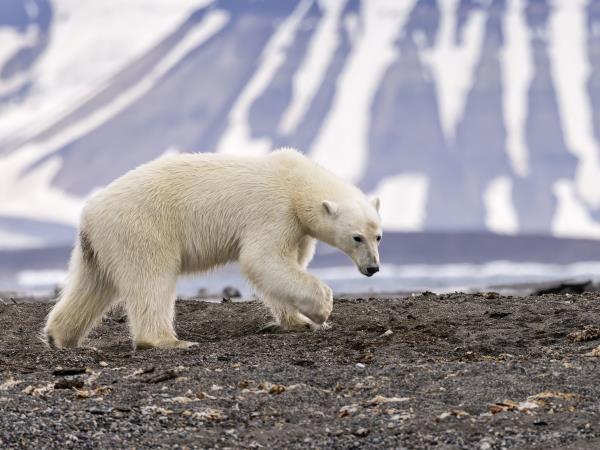 Norway and Spitsbergen luxury cruise,Tromso roundtrip