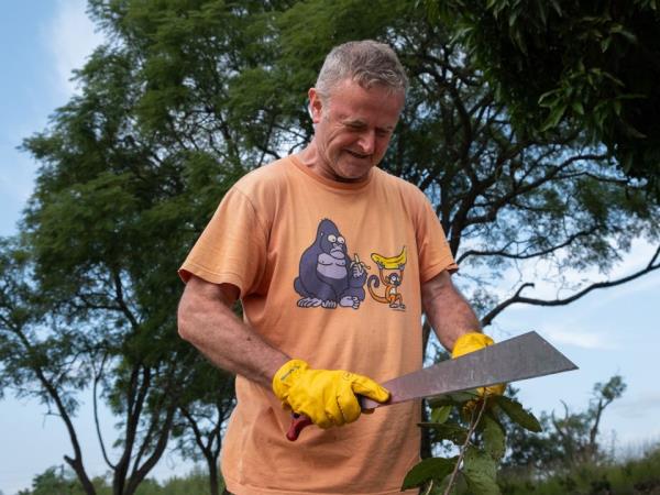 Volunteer with chimpanzees, South Africa