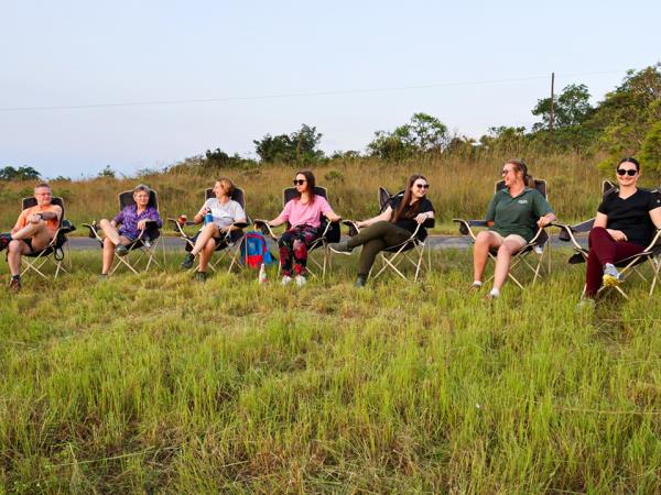 Volunteer with chimpanzees, South Africa