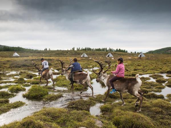 Mongolia Tsaatan reindeer herders group tour