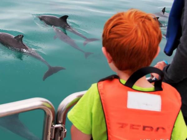 Watersports and whale watching vacation, South Africa
