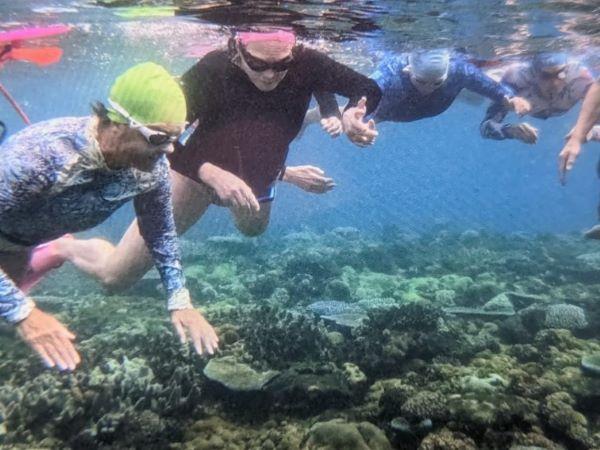 Fiji swimming vacation