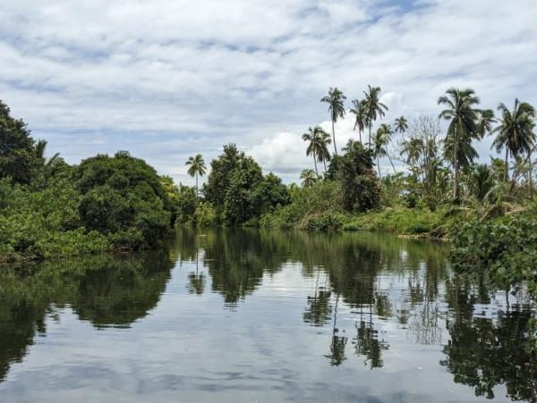 Fiji swimming vacation