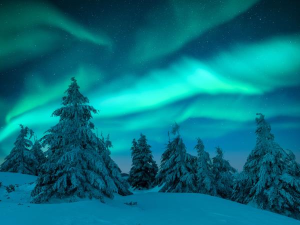Luxury honeymoon in Swedish Lapland