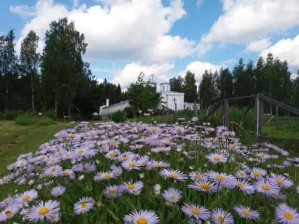 Finland walking week