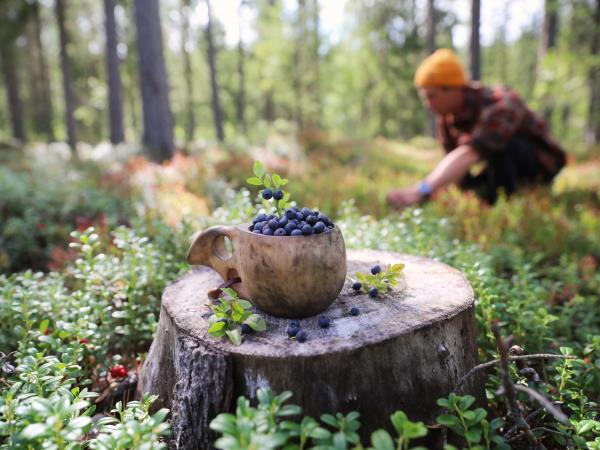 Finland walking week